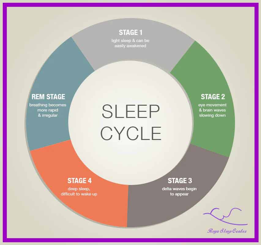 process of sleep - everything about sleep and the sleep process